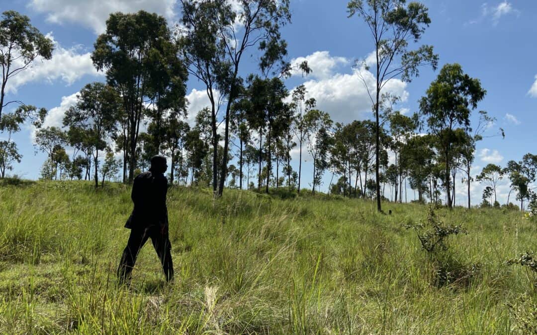 Billeder fra vores farm i Tanzania