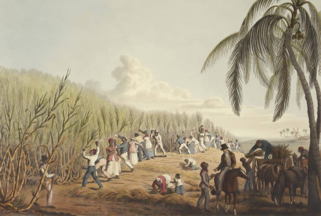 Slaver i sukkermarker