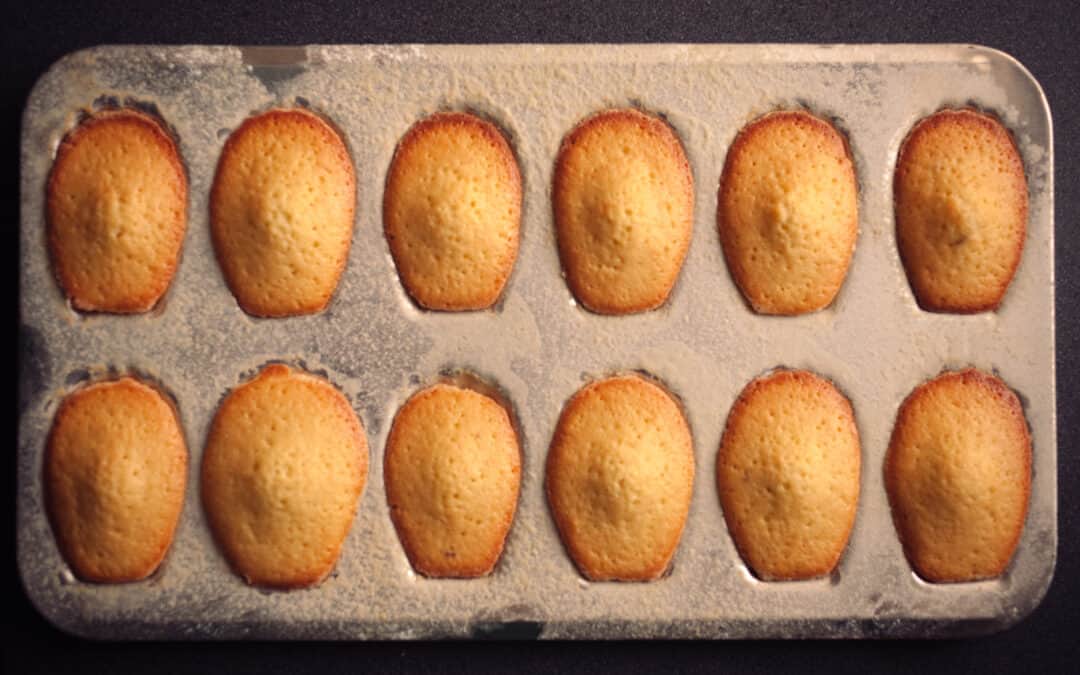Karen Blixens Madeleines