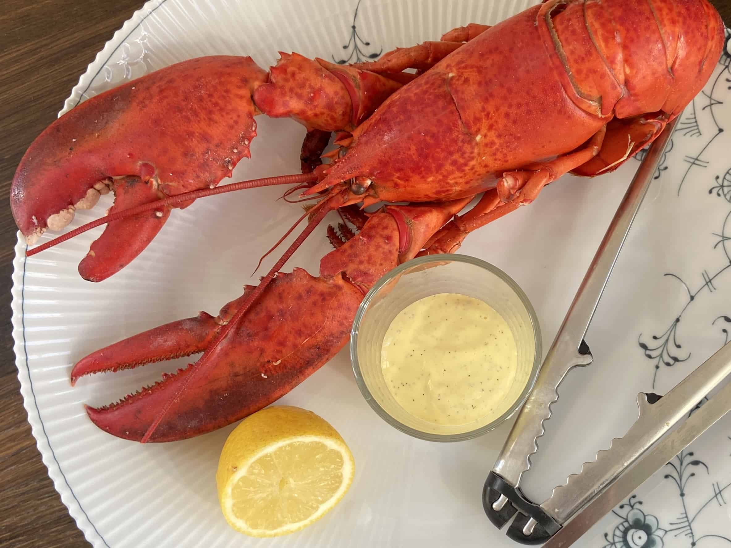 Vaniljemayonnaise til hummer